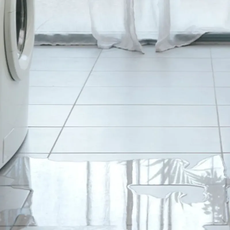 Appliance Leak Cleanup in Indian Harbour Beach, FL